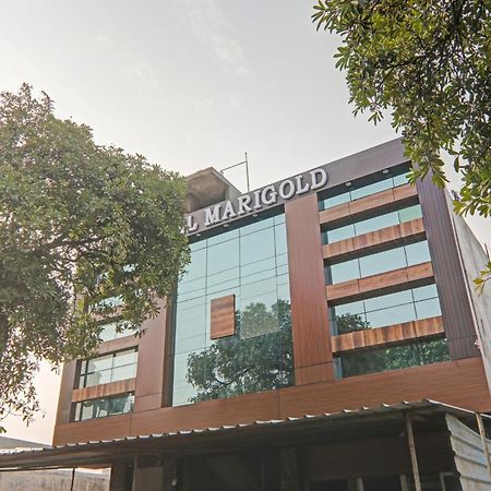Collection O Hotel Marigold Kanpur Esterno foto