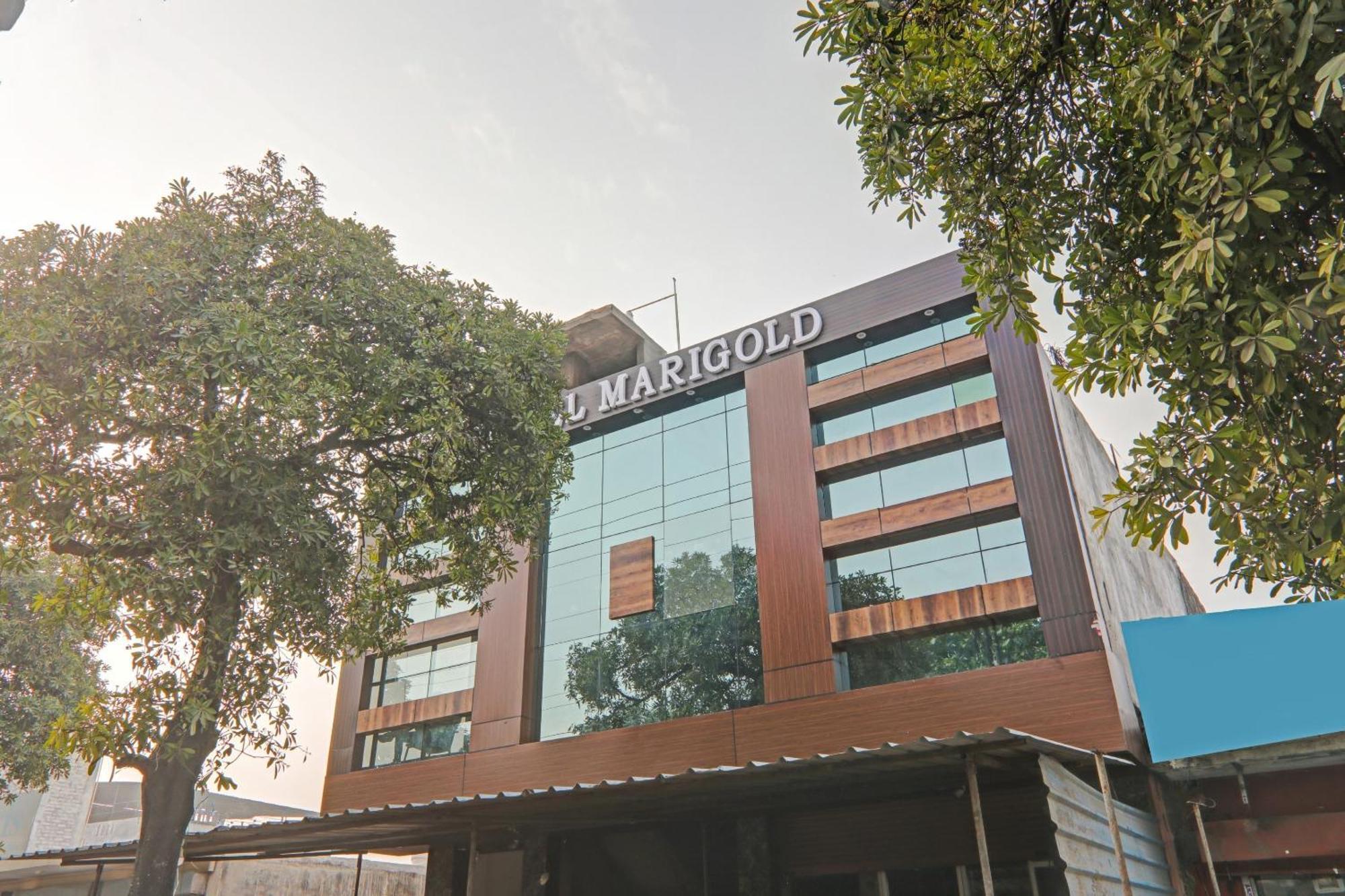 Collection O Hotel Marigold Kanpur Esterno foto